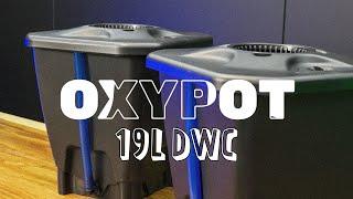 OXYPOT 19L DWC | Herbal House NZ