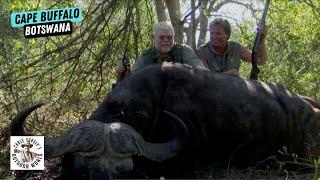 He Takes a Massive Cape Buffalo on 1st African Safari