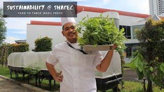 From Yard To Farm: Basil Pesto