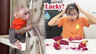 Mom went crazy when she found out Lucky was secretly eating dragon fruit