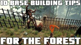 10 Base Building Tips for the Forest