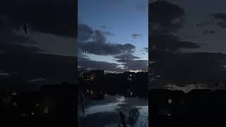 Common pipistrelle bats flying in Slow mo above lake Part 3 #nature #bats