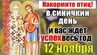 12 ноября синичкин день.  День памяти Зиновия и Зиновии. Традиции и приметы в этот день.