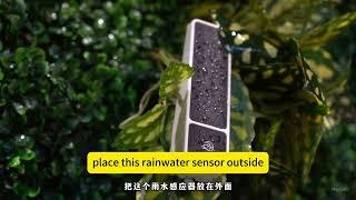 Rainy sensor control intelligent window amd doors system