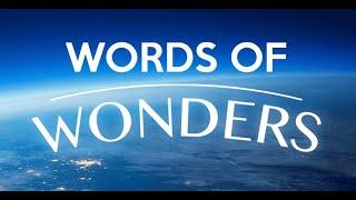 Words Of Wonders Zafer taki Seviye 9