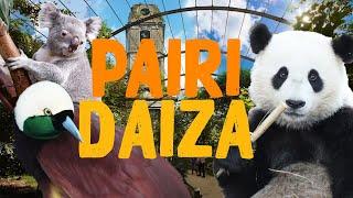 Pairi Daiza - Der schönste Zoo Europas? | Zoo Eindruck