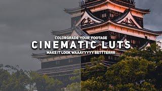 4 CINEMATIC LUTS || Premiere Pro, Final Cut Pro, After Effects ETC.