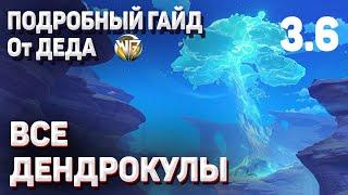 ВСЕ ДЕНДРОКУЛЫ ПОДРОБНЫЙ ГАЙД 3 6 Геншин импакт Маршрут сбор ДЕНДРОКУЛ Пустыня сумеру обновление 3 6