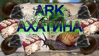 ARK АХАТИНА