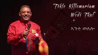 Tekle Kiflemariam (Wedi Tukul) - Anti Welelo - ኣንቲ ወለሎ - ተኽለ (ወዲ-ትኹል) New Eritrean Music 2019