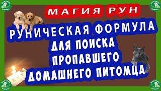 МАГИЯ РУН | РУНИЧЕСКАЯ ФОРМУЛА ДЛЯ ПОИСКА ПРОПАВШЕГО ДОМАШНЕГО ПИТОМЦА(Собака,Кошка,Попугай..).