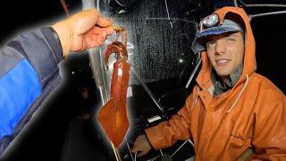 24 Hours as a Commercial Squid Fisherman (Selling Direct to Consumer)