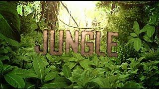 127 - The Jungle