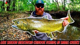 Late Season Wisconsin Chinook Salmon Fishing In Small Creeks