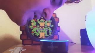 ALEXA tell me a JOKE! (Amazon Echo Preview) - Funniest Jokes EVER