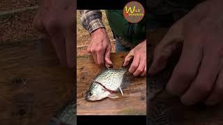 5 Steps to Filleting Crappie | Wild Resources #shorts