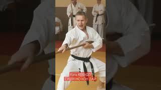 #каратэ #karate #кобудо #кобудоминск #kobudo #kobudodemonstration #sushinokon #katakobudo