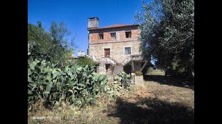 Urban article stone house in family for generations Vineyard #fundão #gardunhamountains #orca
