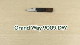 Розпаковка Grand Way 9009 DW