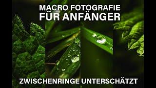 Macro Fotografie ganz einfach I MEIKE Zwischenringe I Nikon Z6 I 50MM F1.4 I Samples  I Beispiele