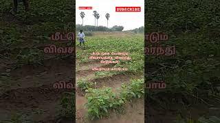  விவசாயம் காப்போம்  #trending #viral #viralvideo #shorts #farming #farmer @hanbuinfo5184