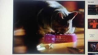 Whiskas 2003 Ad