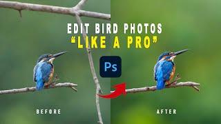 How to Edit Wildlife & Bird Photos in 2025 | Easy Pro Tips!