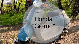 Honda Giorno af24 - rebuild, repair and painting by Garage13 Novosibirsk