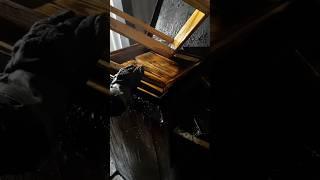 Winter work stage 3  #beekeepers #beekeeping #beekeeper #wood #woodworking #animals #nature #bee