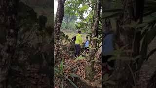 Wild deer rescued by locals at Chota Fafri area near Siliguri