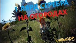 Black desert online: Миллиард серебра в месяц на огородах за 10 минут в день (2020 год)