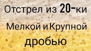 Отстрел из 20-ки Мелкой и Крупной дробью/Хороший результат 20-ки