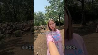 Теперь я поняла, почему в Корее такие дорогие фрукты и овощи.. #корея #южнаякорея