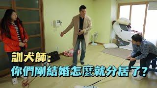 妻子在家裡養了兩隻小惡魔，新婚丈夫被迫和她分居，訓犬師：作為男人我很同情你