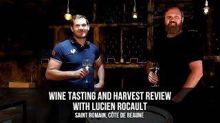 Wine Tasting and Harvest Review with Lucien Rocault in Saint Romain, Côte de Beaune, Bourgogne