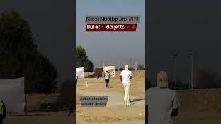 #nikdi #nasibpura #cricket #sangrurlive24