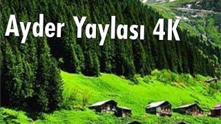 AYDER YAYLASI – this is the Switzerland of Turkey – Black Sea tour in Turkey – Turkish Alps