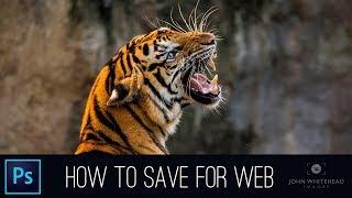 Saving for Web in Adobe Photoshop CC