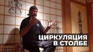 Циркуляция в столбе (чжаньчжуан) | Мастер Александр Скалозуб | Илицюань