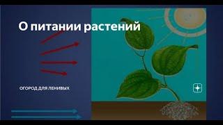 УДОБРЕНИЯ И СРЕДСТВА ЗАЩИТЫ - разбираем частые вопросы.