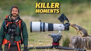 WILDLIFE PHOTOGRAPHY of SMALL ANIMALS - SHARP PRO IMAGES using the OM-1 Mark ii.