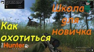 theHunter Classic. Гайд-охота для новичков.