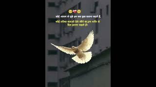 #motivation #funvoice #motivational #motivationalvoice