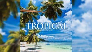 (180+) FREE AFROBEAT / DANCEHALL DRUM KIT "TROPICAL" (Drums , Presets, One Shots)