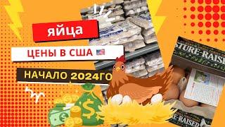 яйца ️ цены в Америке на начало 2024го года