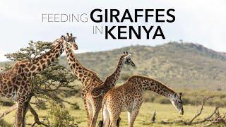 Feeding Giraffes in Nairobi || Kenya Travel Vlog