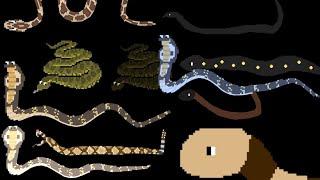 Snakes - Animal series - Cobra,Boa,Python, - @TheKidsPictureShow(MOST POPULAR VIDEO 2024)