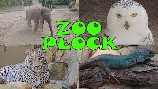 ZOO Płock