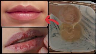 HOW DO LIP CRACKS PASS ? / MOISTURIZING EFFECTIVELY