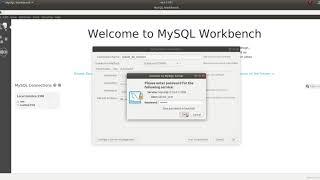 Creating your first Database with MySQL Workbench on Linux (Ubuntu 18.04)